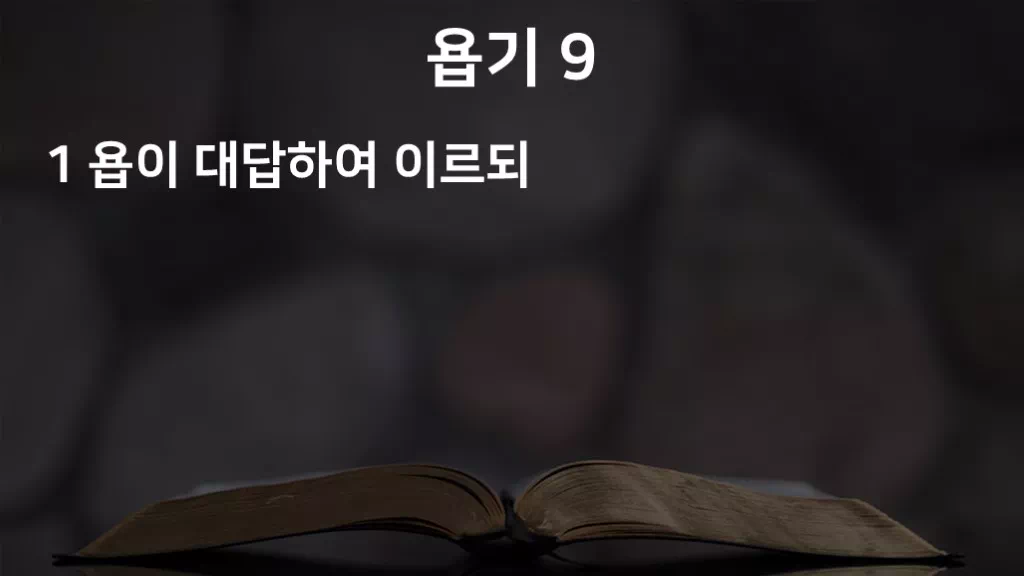 =C446&